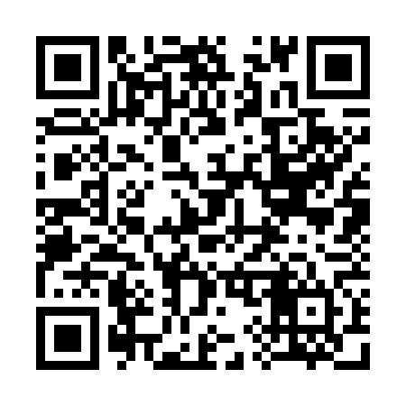 QR code for 393764