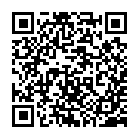 QR code for 393787