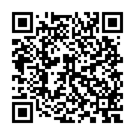 QR code for 393789