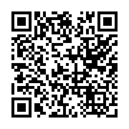 QR code for 393803