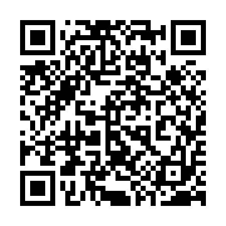 QR code for 393813