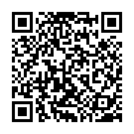 QR code for 393839