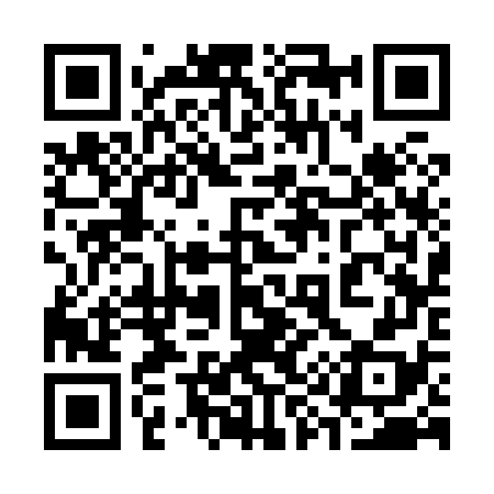 QR code for 393878