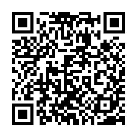 QR code for 393881