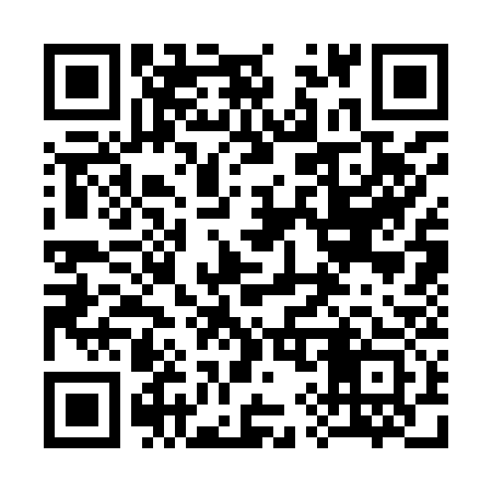 QR code for 393933