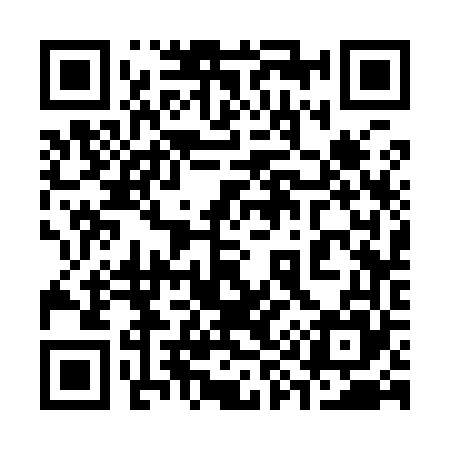 QR code for 393965