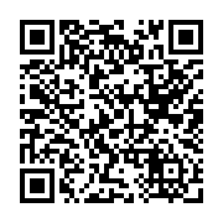 QR code for 393994