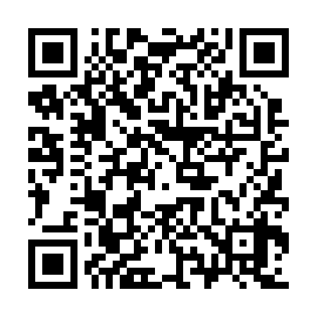 QR code for 394238