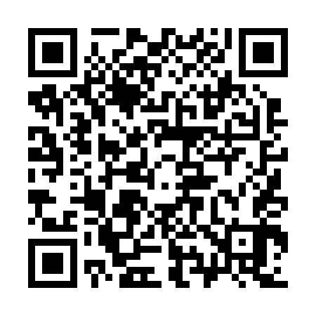 QR code for 394243
