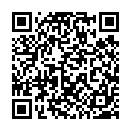QR code for 394617