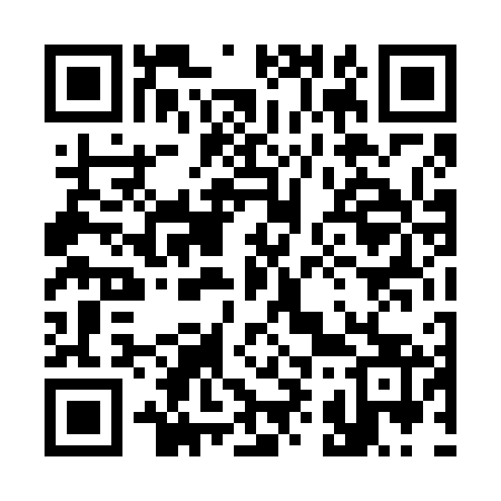 QR code for 394663
