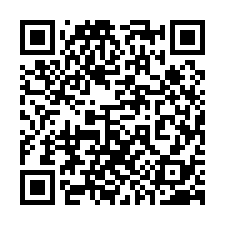 QR code for 395138