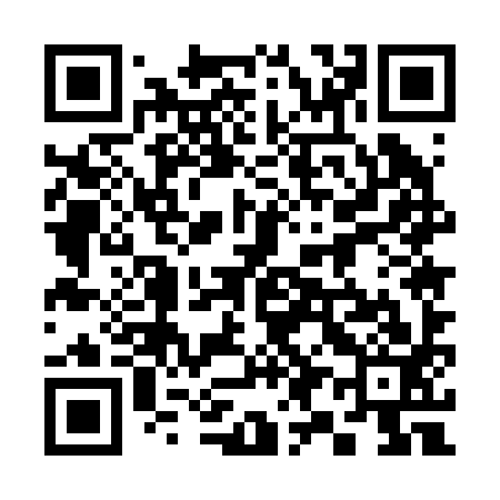 QR code for 395293