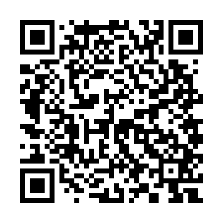 QR code for 396741