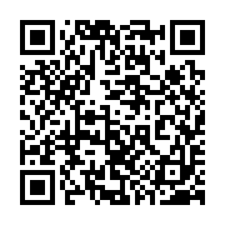QR code for 397393
