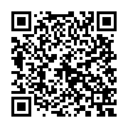 QR code for 397529