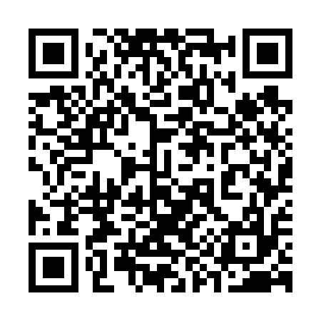 QR code for 397617