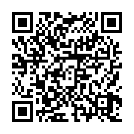 QR code for 398128
