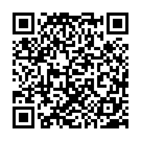 QR code for 398875