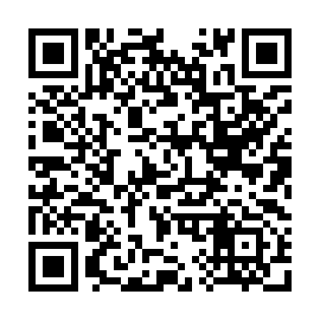 QR code for 398993