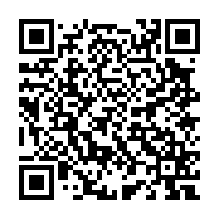 QR code for 401065