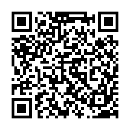 QR code for 403217