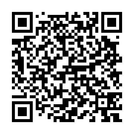 QR code for 410038