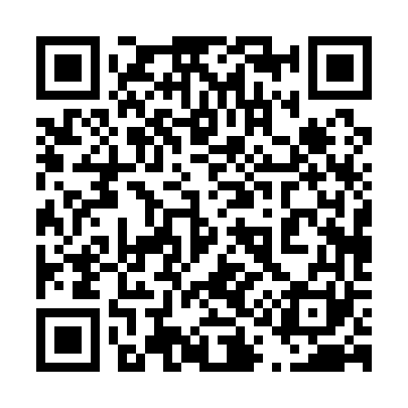 QR code for 410161