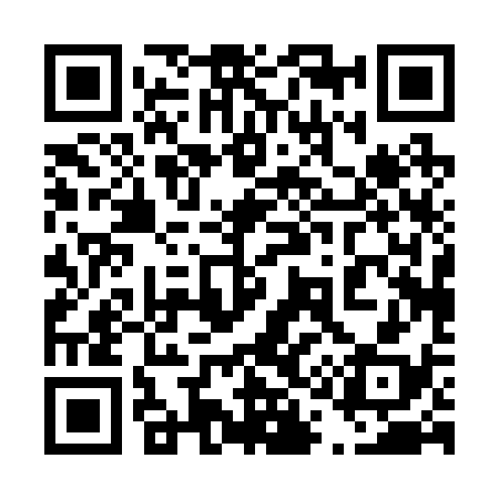 QR code for 410238