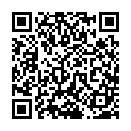 QR code for 410303