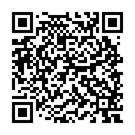 QR code for 410382