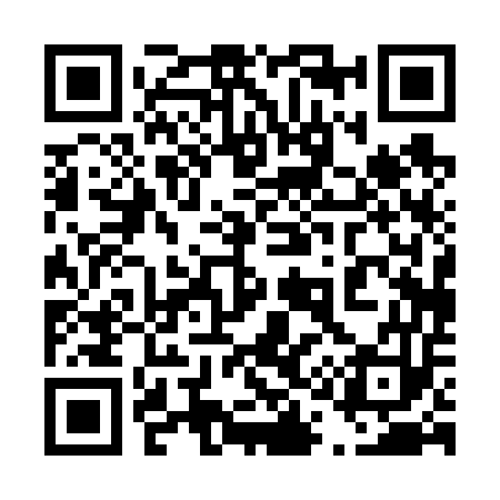 QR code for 410653