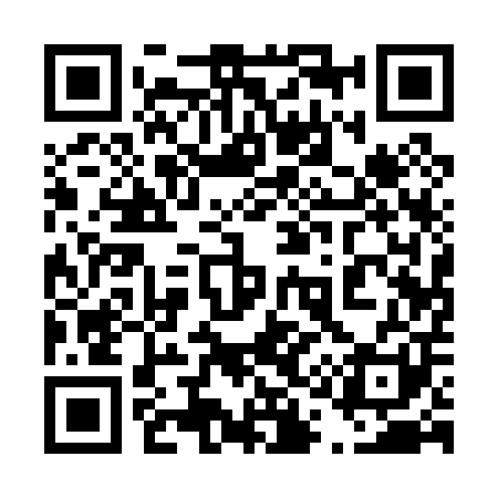 QR code for 411001