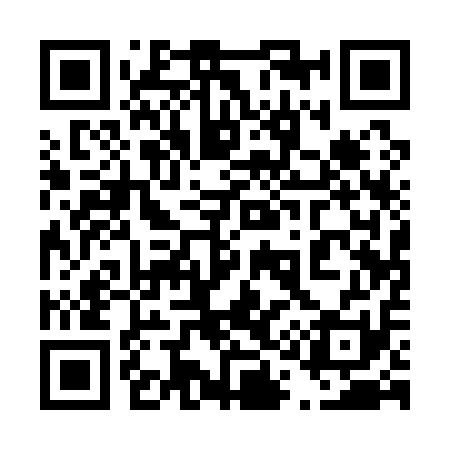 QR code for 411111