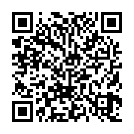 QR code for 411129