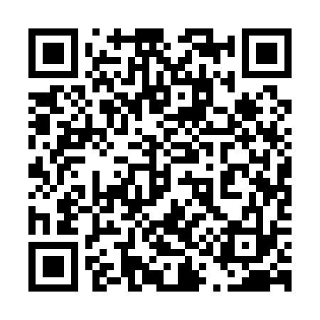 QR code for 411133
