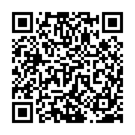 QR code for 411137