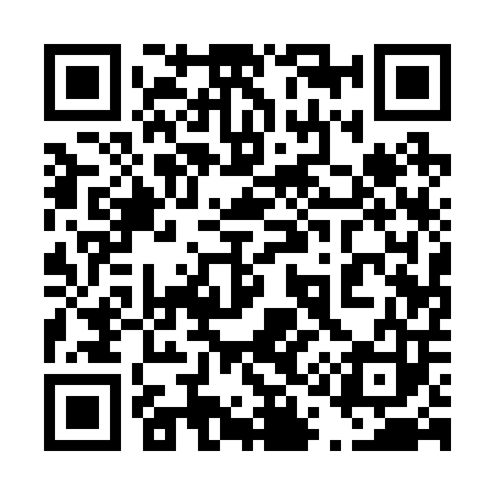 QR code for 411203