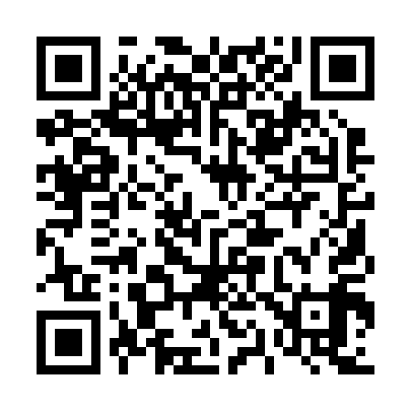 QR code for 411219