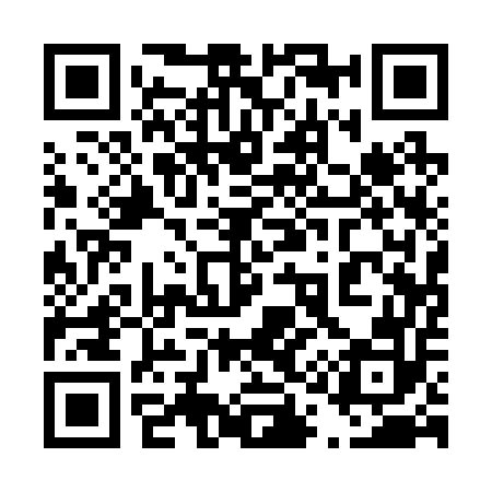 QR code for 411252