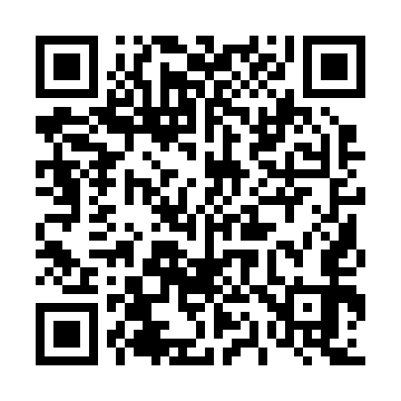 QR code for 411253