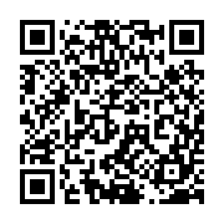 QR code for 411254