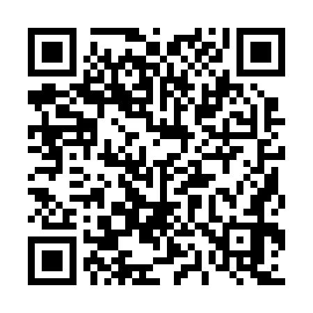 QR code for 411272