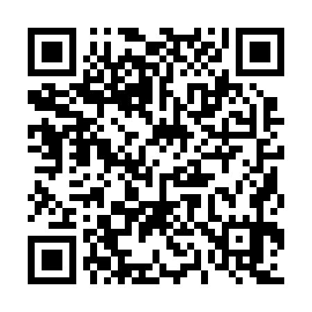 QR code for 411275