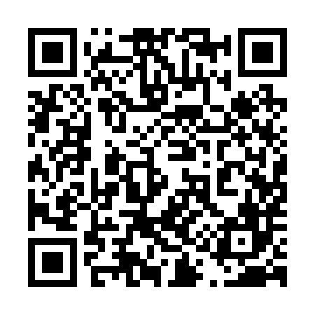 QR code for 411286