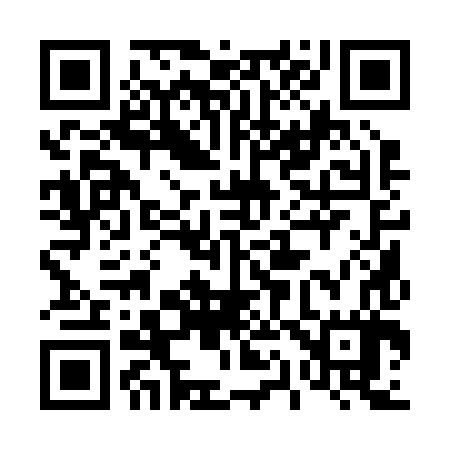QR code for 411287
