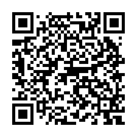 QR code for 411292