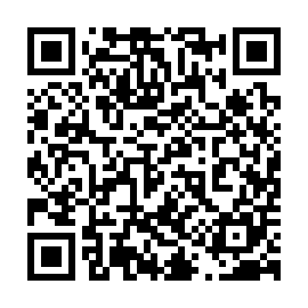 QR code for 411305
