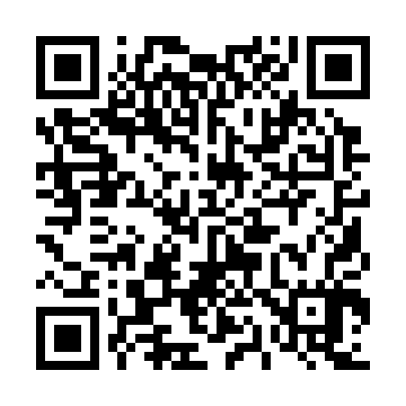 QR code for 411307