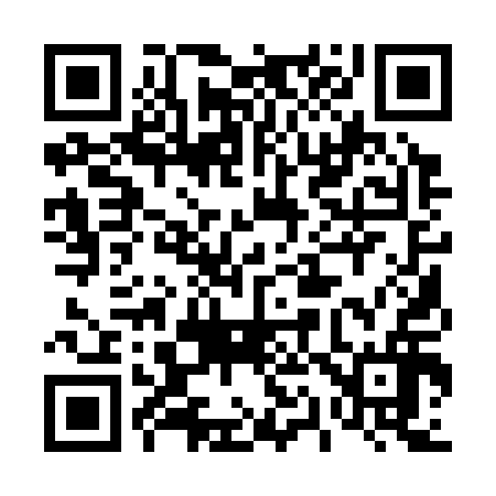 QR code for 411316